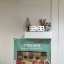 카페 알로 (cafe ALO) 이미지