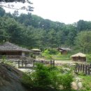 잣향기푸른마을 이미지