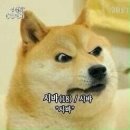 밈