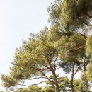 충혼공원 이미지