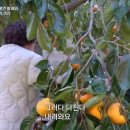 영천농장 이미지