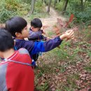 시립배곧이지더원2차어린이집 이미지