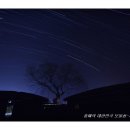 제주의별·밤