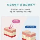 [시그니엑스퍼트 9기] 피부장벽이 중요한 이유, 자이트쉴트 AR세럼 BR크림 사용 후기