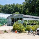 석호농장 이미지