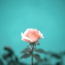 원주부동산정보 이미지