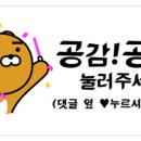 그린콕 네이버블로그