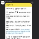 하이;돼지