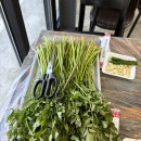 이재규 | [청도] 한재 미나리와 삼겹살을 구워먹을 수 있는 이재규미나리농장 (삼겹살구매)