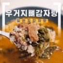 일번지뼈다귀 | [일번지감자탕/우거지 뼈 감자탕] 감자탕맛집 그대로 담은 감자탕밀키트 저녁뭐먹지 해결