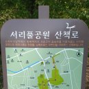 예산7리(신성아파트)야외운동기구 | [서울여행] 강남 서초 서리풀공원 산책 후기! (4.1. 봄꽃 개화 상황)