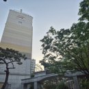예림디자인고등학교 | [서울 산 등산-3] 와룡산 | 작고 귀여운 동네 산