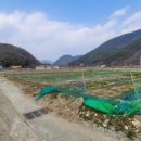 진전면912 이미지