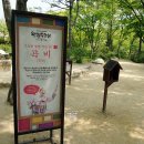 무예마루도장 | 한국민속촌 : 웰컴투조선 : 평일관람도 알차고 재미있어요