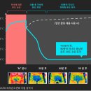 아랫도리 이미지