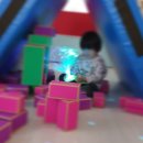 심리운동센터 숲 이미지