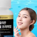웰리코