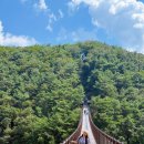 옥순봉 출렁다리 관광안내소 | 제천 가볼만한 곳 제천8경 옥순봉 출렁다리 청풍명월이로구나