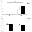 MUSCLE FLOW 이미지