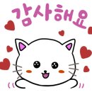 스테이제부(3) 네이버블로그