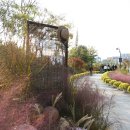 서울식물원 이미지