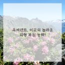옥계덴트