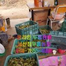 전행농장 네이버블로그