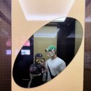 판교로256번길 이미지