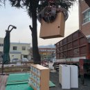 삼육초등학교 이미지