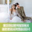 [울산허니문박람회 다녀온 후기] 허니문부터 웨딩 준비까지 한 번에 해결했어요!