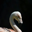 힘튼의원 이미지