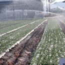 남해는, 지금 이미지