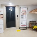 엘림두피관리샵