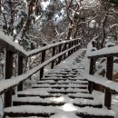 금산사길 이미지