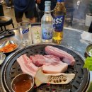 달마루스파 이미지