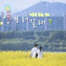 연제구-003 이미지