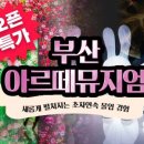 디오브 해운대 호텔 엘본더스테이 네이버블로그