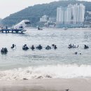욜로클린 이미지