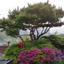 (주)우인 이미지