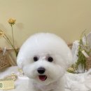 킨더그루밍 이미지