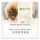 음악이 있는 힐링원예 이미지