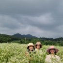오병원 이미지