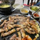 돼지야놀자 이미지