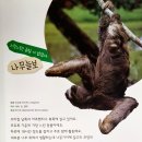 솔방리치