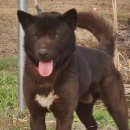 시커먼스 이미지