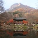 백양사, 문화와 시간이 머무는 곳 (유물, 사찰, 관광)