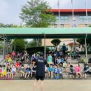 용인대타이곤태권도 이미지