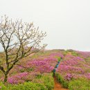 df 이미지