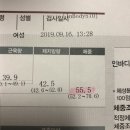 피에이치쓰리 | 파지티브 호텔 1주차 후기