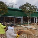 통나무파크 이미지